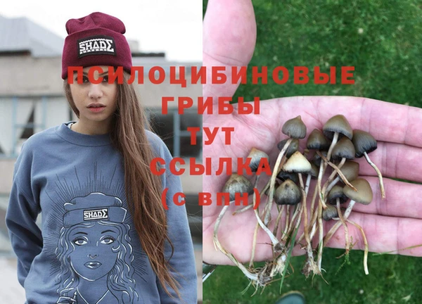 соль курить ск Белокуриха
