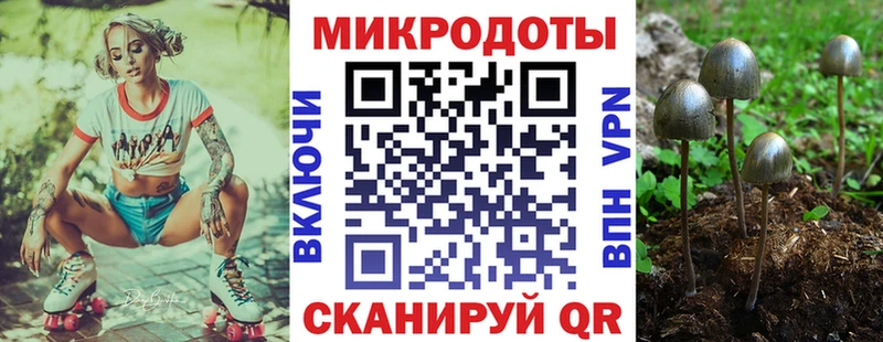 сайты даркнета Telegram Волгодонск Псилоцибиновые грибы Cubensis